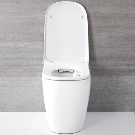 bidet toilet japanese smart shower
